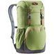 Рюкзак Deuter Walker 20 колір 2443 pine-graphite 3810617 2443