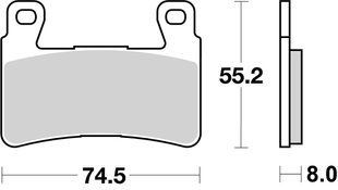 Гальмівні колодки SBS Track Days Front Brake Pads, Sinter 734RST