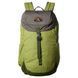 Рюкзак Deuter Walker 16 колір 2270 moss-pine