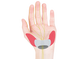 Гріпси Ergon GC1 BioKork