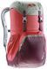 Рюкзак Deuter Walker 20 колір 5005 cranberry-aubergine 3810617 5005