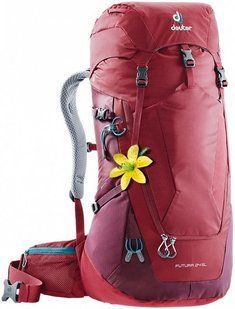 Рюкзак Deuter Futura 24 SL цвет 5528 cranberry-maron 3400218 5528