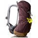 Рюкзак Deuter Zugspitze 22 SL колір 5607 aubergine-lion