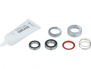 Сервісний набір DT SWISS KIT RATCHET 54T 180 EXP W. BEARINGS HWYXXX00N2534S