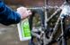 Шампунь Juice Lubes Concentrate Bike Cleaner 1л (розводити 1:10)