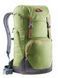 Рюкзак Deuter Walker 24 колір 2443 pine-graphite 3810717 2443