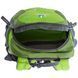 Рюкзак Deuter Pico 5л колір 2004 kiwi
