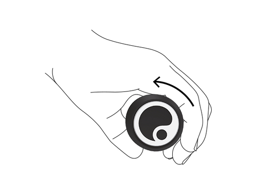Грипсы Ergon GE1 Evo Black 424 110 50