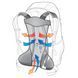 Рюкзак Deuter AC Lite 22 SL колір 3349 blueberry-turquoise