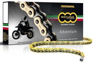 Ланцюг Regina ZRE Chain - 520 [Gold], 520-110L / Seal Ring 135ZRE/1003