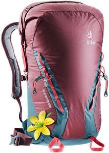 Рюкзак Deuter Gravity Rock&Roll 28 SL колір 5324 maron-arctic 3362219 5324